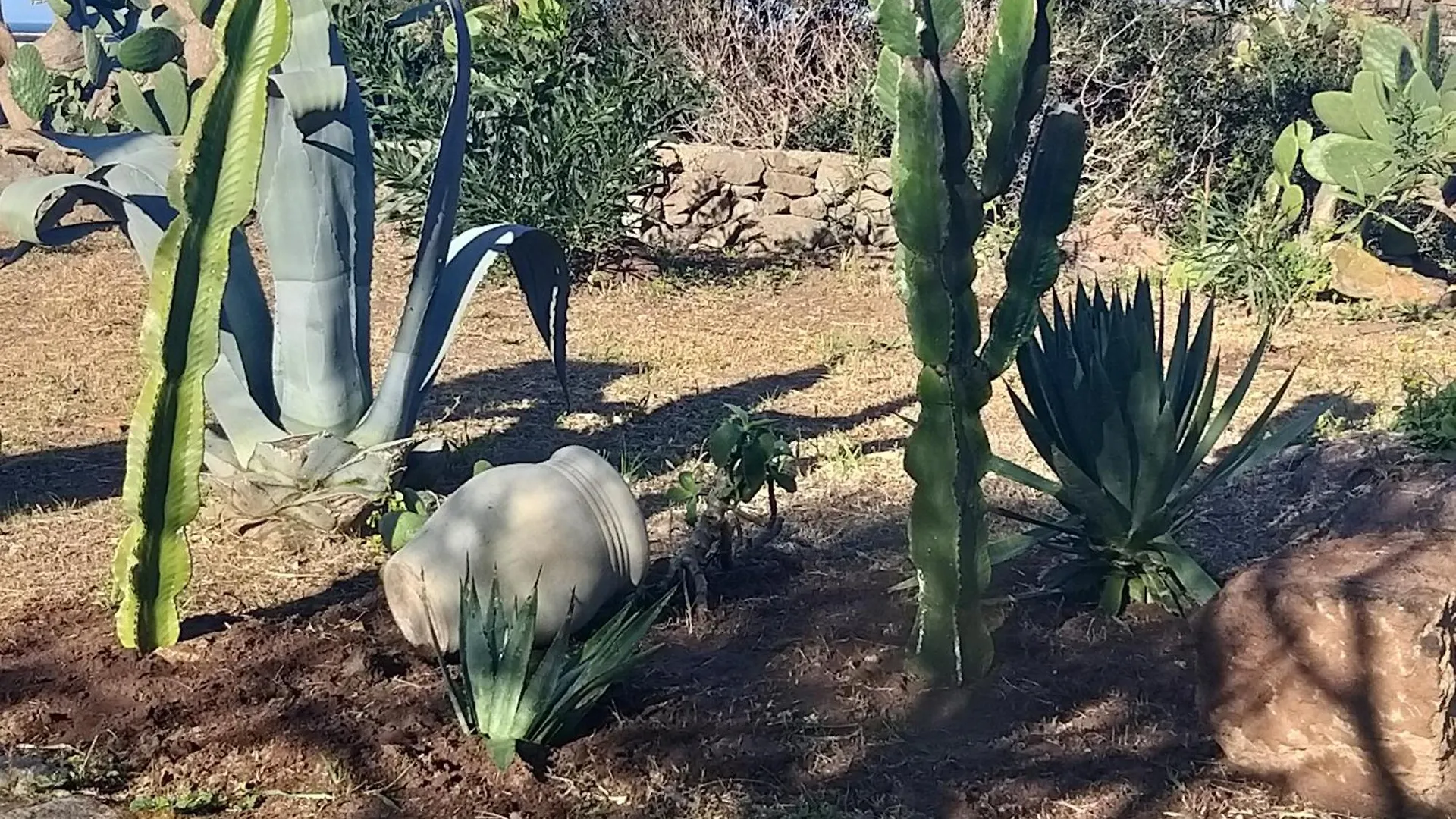 Casa vacanze Casetta Il Mandorlo Pantelleria